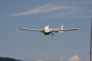 IMG_8550