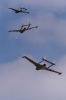 170422_staffeltreff_msvs_1717