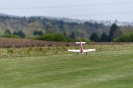 170422_staffeltreff_msvs_2186