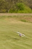 170422_staffeltreff_msvs_31