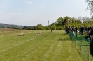 170422_staffeltreff_msvs_372