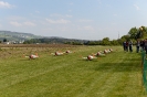 170422_staffeltreff_msvs_534
