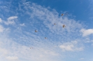 170422_staffeltreff_msvs_550