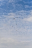 170422_staffeltreff_msvs_555