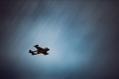 170422_staffeltreff_msvs_949