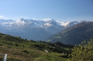 IMG_0890
