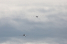 IMG_2240