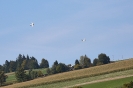 IMG_3160