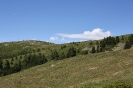 IMG_3194