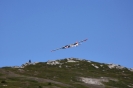 2020-08-07 Gebirgsausflug Gebidem