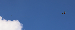 IMG_8840.crop