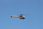 IMG_8875.crop