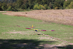 IMG_9860