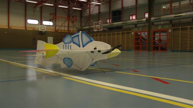 Pädi's Disney, ein Modell zum knuddeln und formidabel indoor fliegen...
